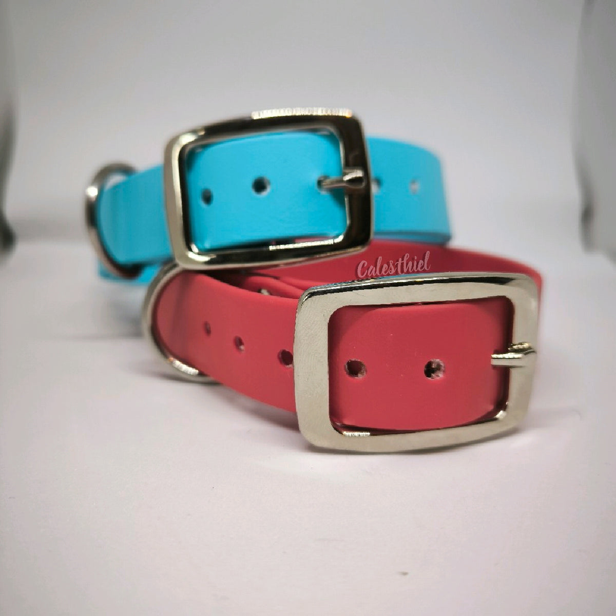 Collier Biothane 25mm