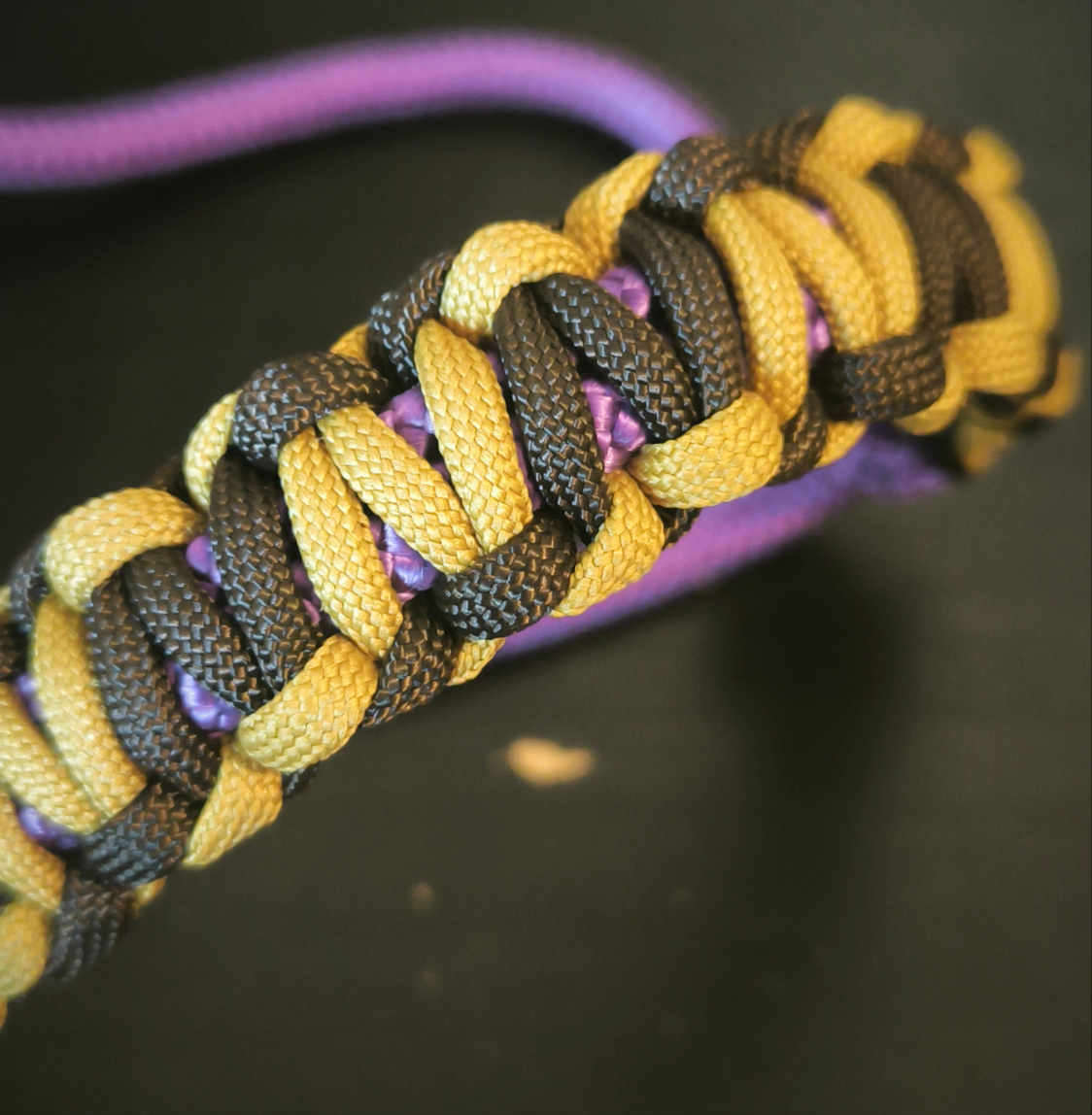 Le licol Asterea personnalisation possible avec un large choix de couleurs 