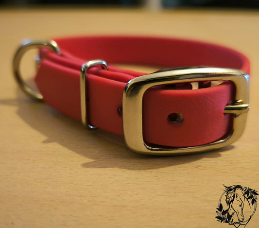 Collier Biothane 16mm